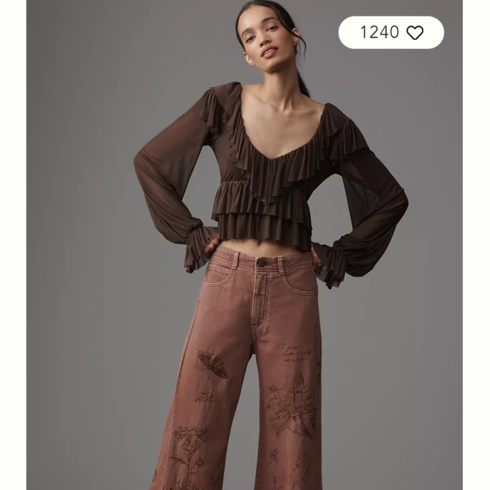 Anthropologie Pilcro Adi Embroidered Wide Legs, 27